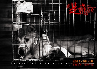 我是谁的宝贝剧照的剧照