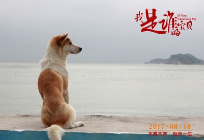 我是谁的宝贝剧照的剧照