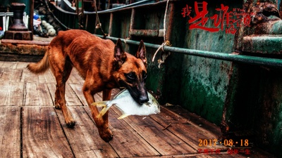 我是谁的宝贝剧照的剧照