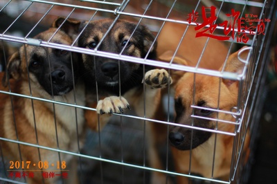 我是谁的宝贝剧照的剧照