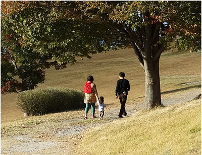 小花的味噌汤剧照的剧照