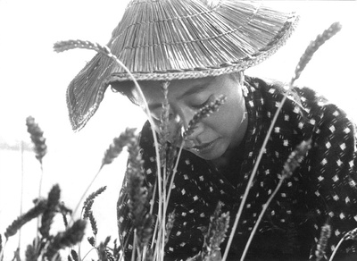 裸岛剧照的剧照