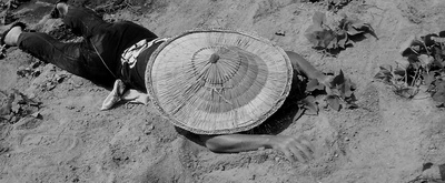 裸岛剧照的剧照