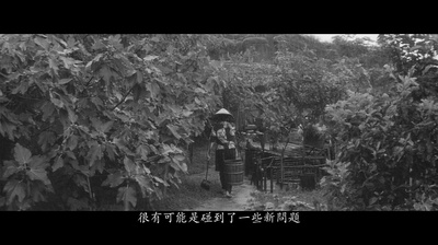 裸岛剧照的剧照