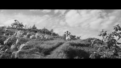 裸岛剧照的剧照