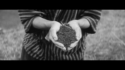 裸岛剧照的剧照