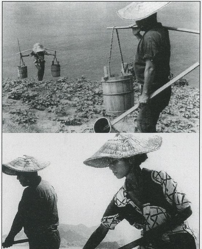 裸岛剧照的剧照