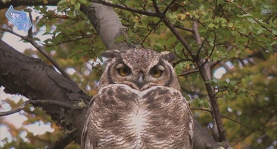 探险队的荣光剧照的剧照