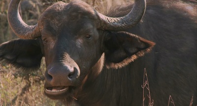 探险队的荣光剧照的剧照