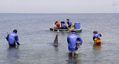 探险队的荣光剧照的剧照