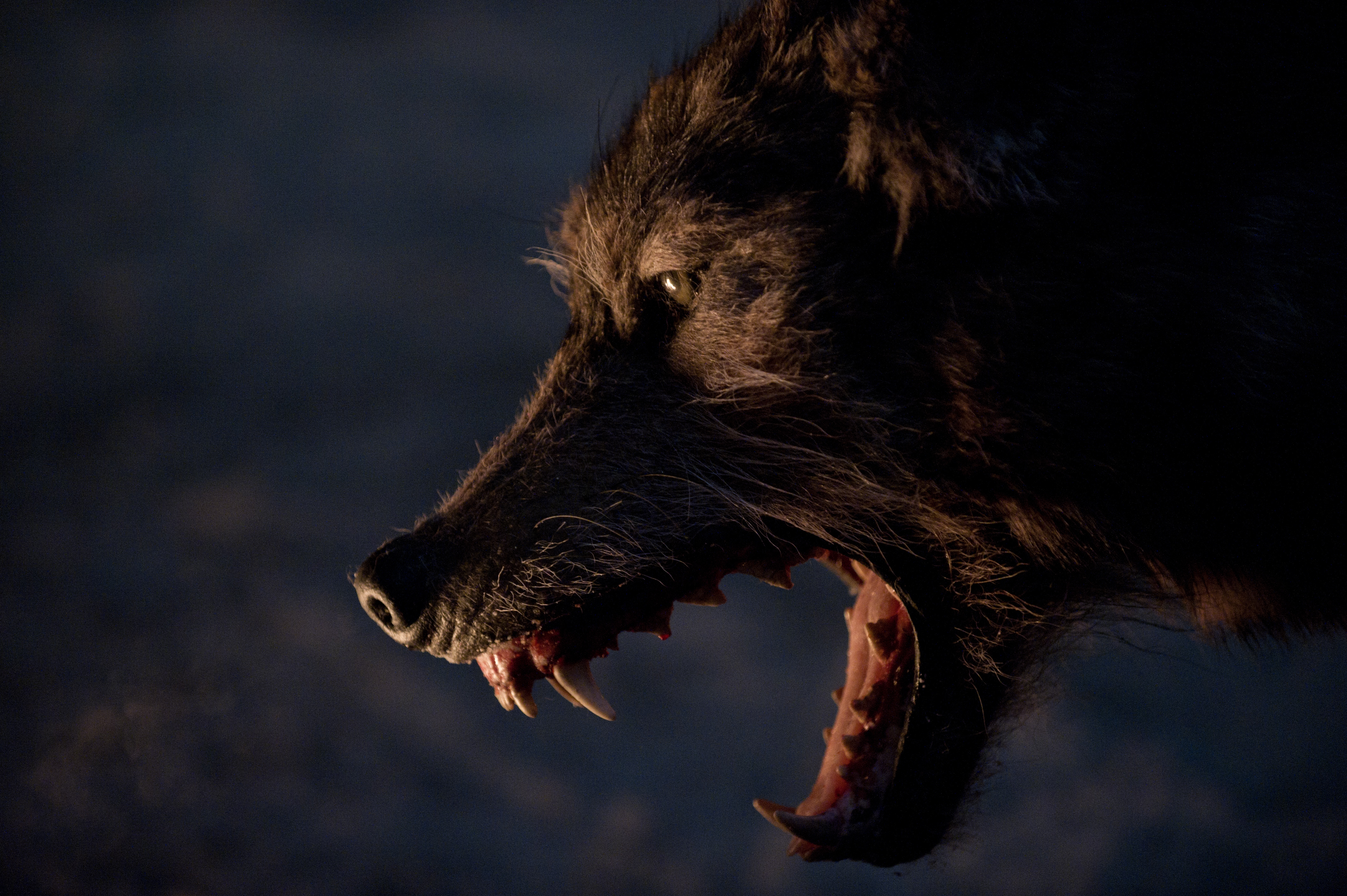 人狼大战剧照的剧照