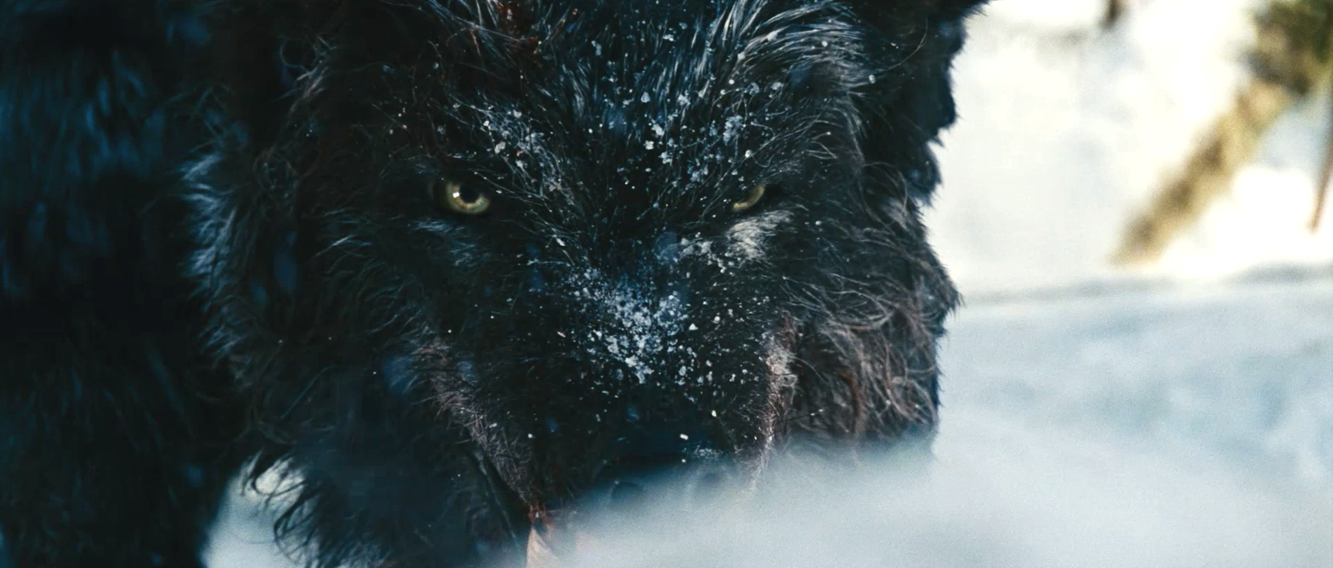 人狼大战剧照的剧照