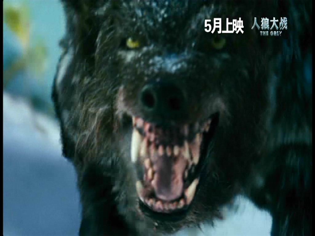 人狼大战剧照的剧照