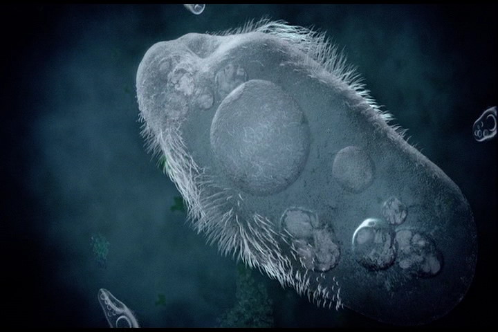 世界之战剧照的剧照