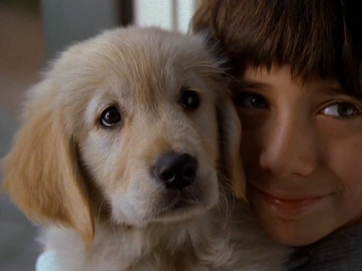 再世人狗缘剧照的剧照