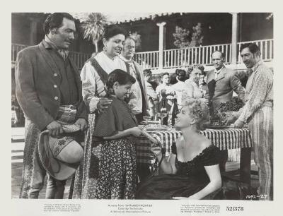 邊塞麗春花剧照的剧照