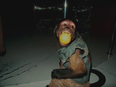 宿醉2剧照的剧照