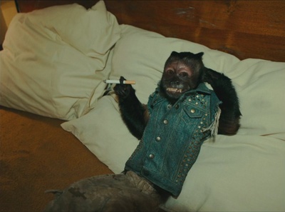 宿醉2剧照的剧照