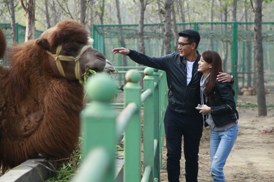 0.5的爱情剧照的剧照