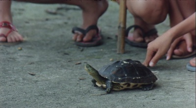 冬冬的假期剧照的剧照