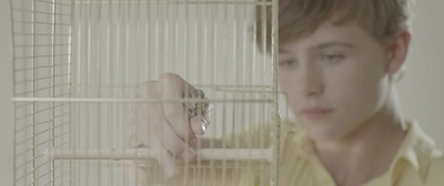 丹尼尔剧照的剧照