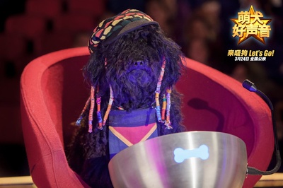 萌犬好声音剧照的剧照