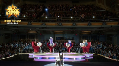 萌犬好声音剧照的剧照