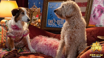 萌犬好声音剧照的剧照