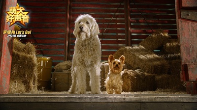 萌犬好声音剧照的剧照