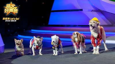 萌犬好声音剧照的剧照