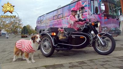 萌犬好声音剧照的剧照