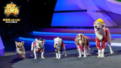 萌犬好声音剧照的剧照