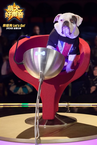 萌犬好声音剧照的剧照