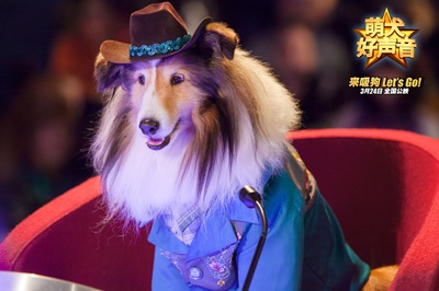 萌犬好声音剧照的剧照