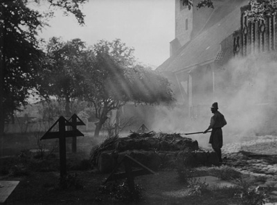 复仇之日剧照的剧照