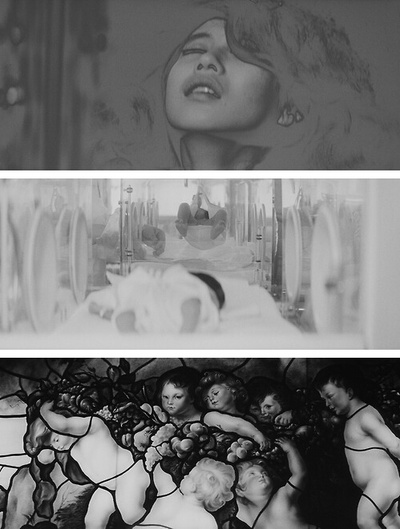 干花剧照的剧照