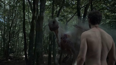 龙之心3：巫师的诅咒剧照的剧照