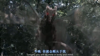 龙之心3：巫师的诅咒剧照的剧照