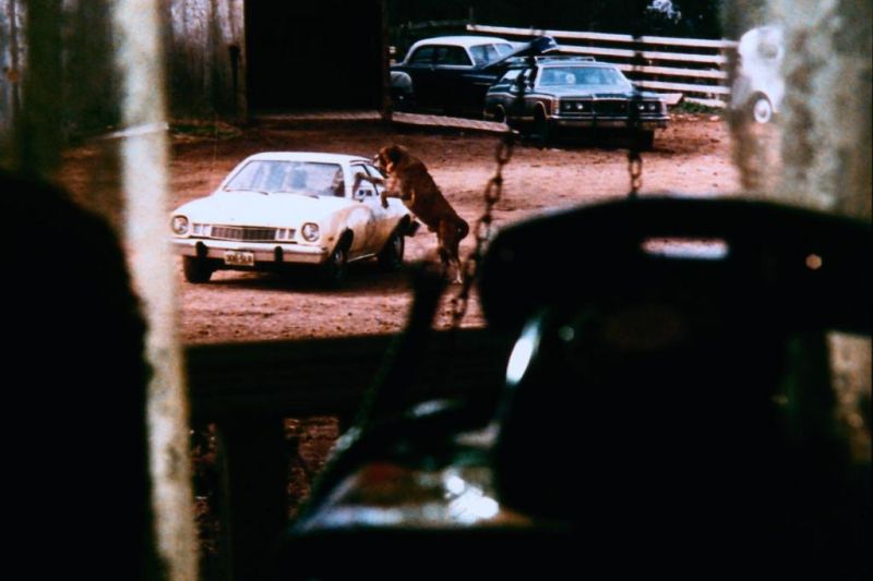 狂犬惊魂剧照的剧照