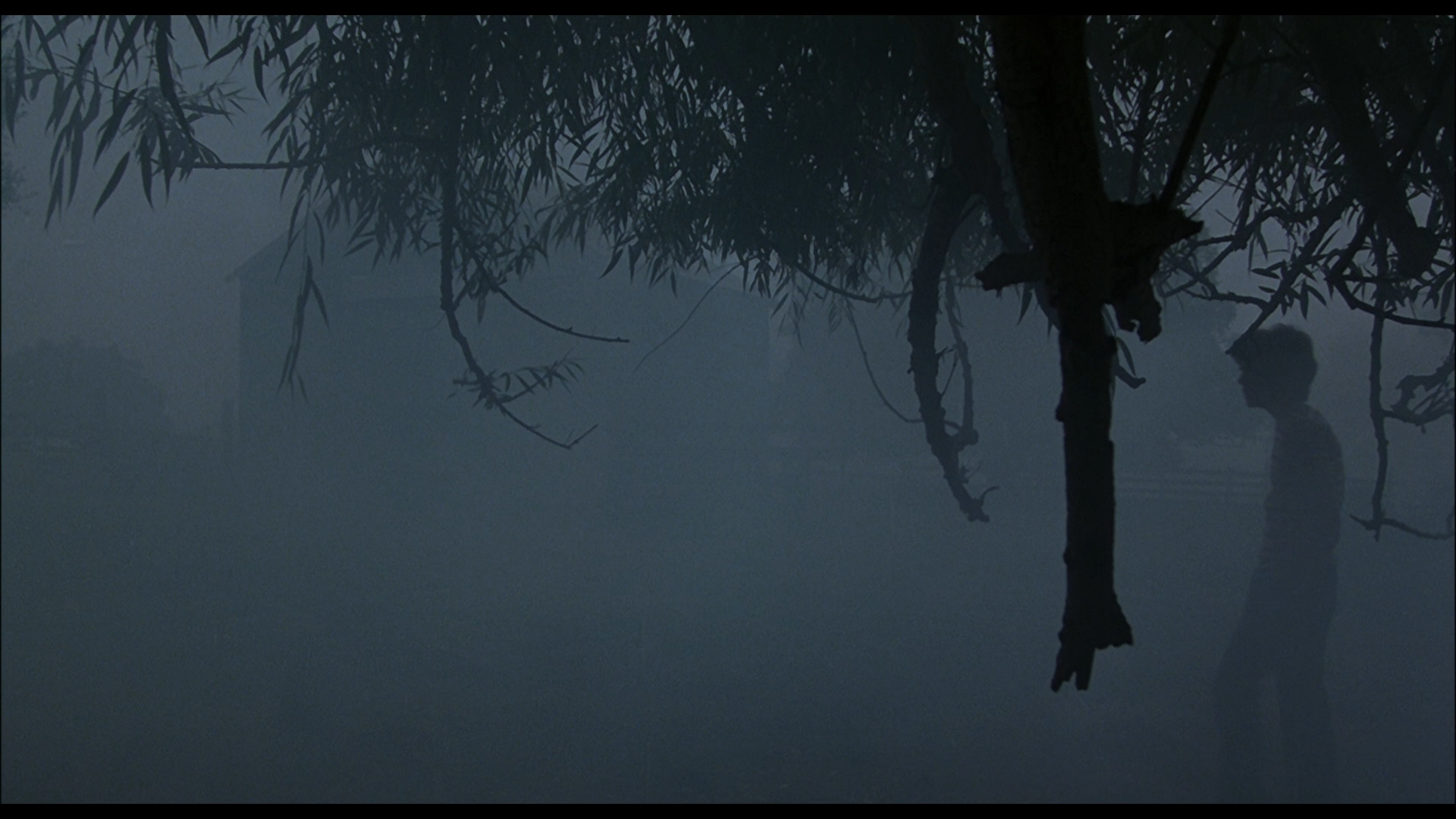 狂犬惊魂剧照的剧照