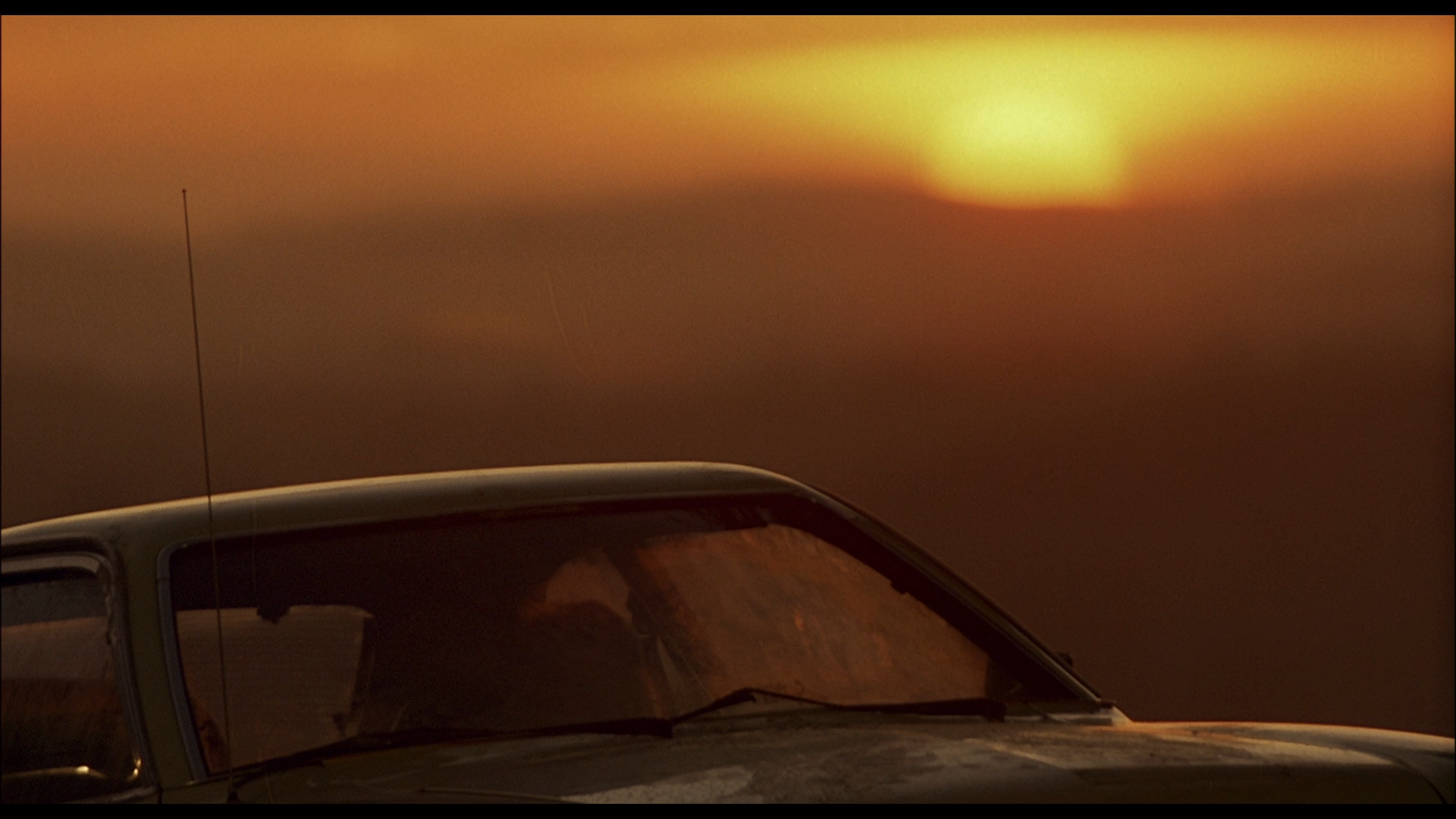 狂犬惊魂剧照的剧照