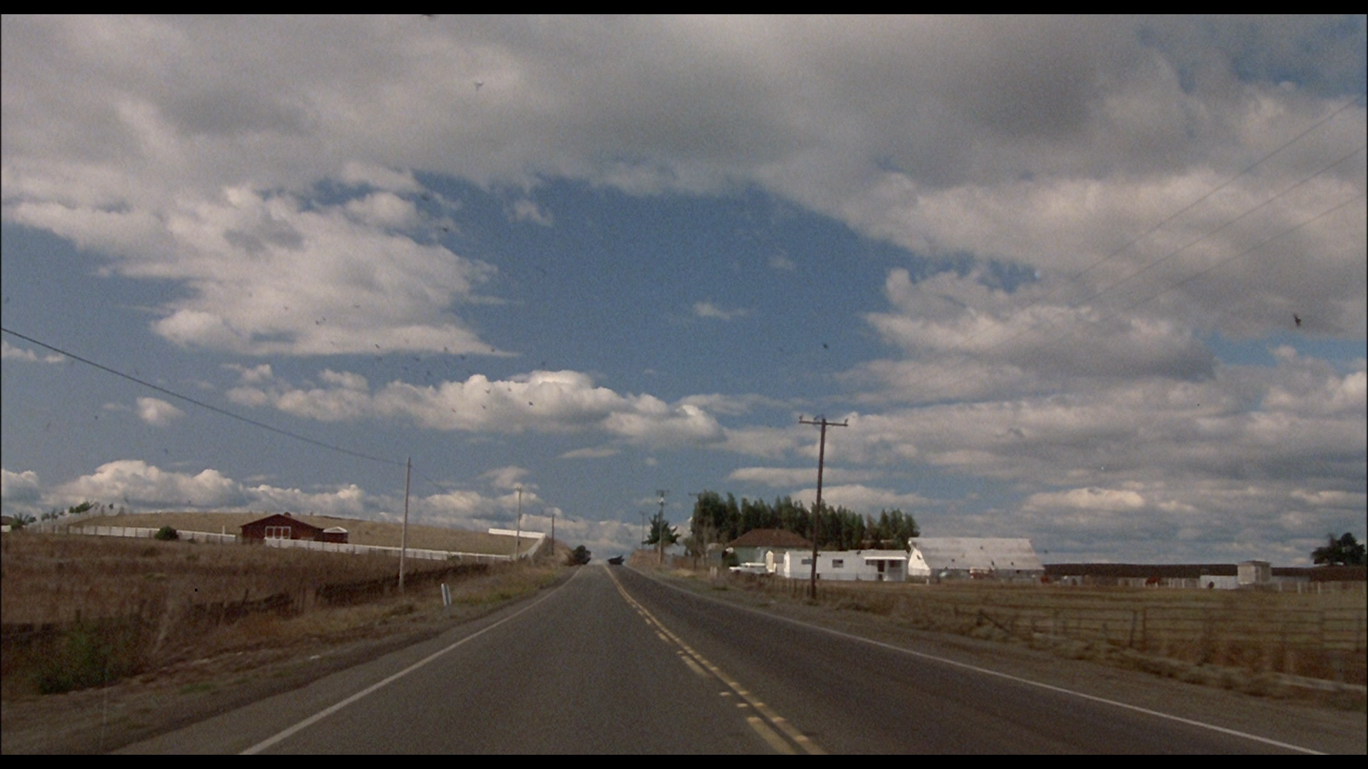 狂犬惊魂剧照的剧照