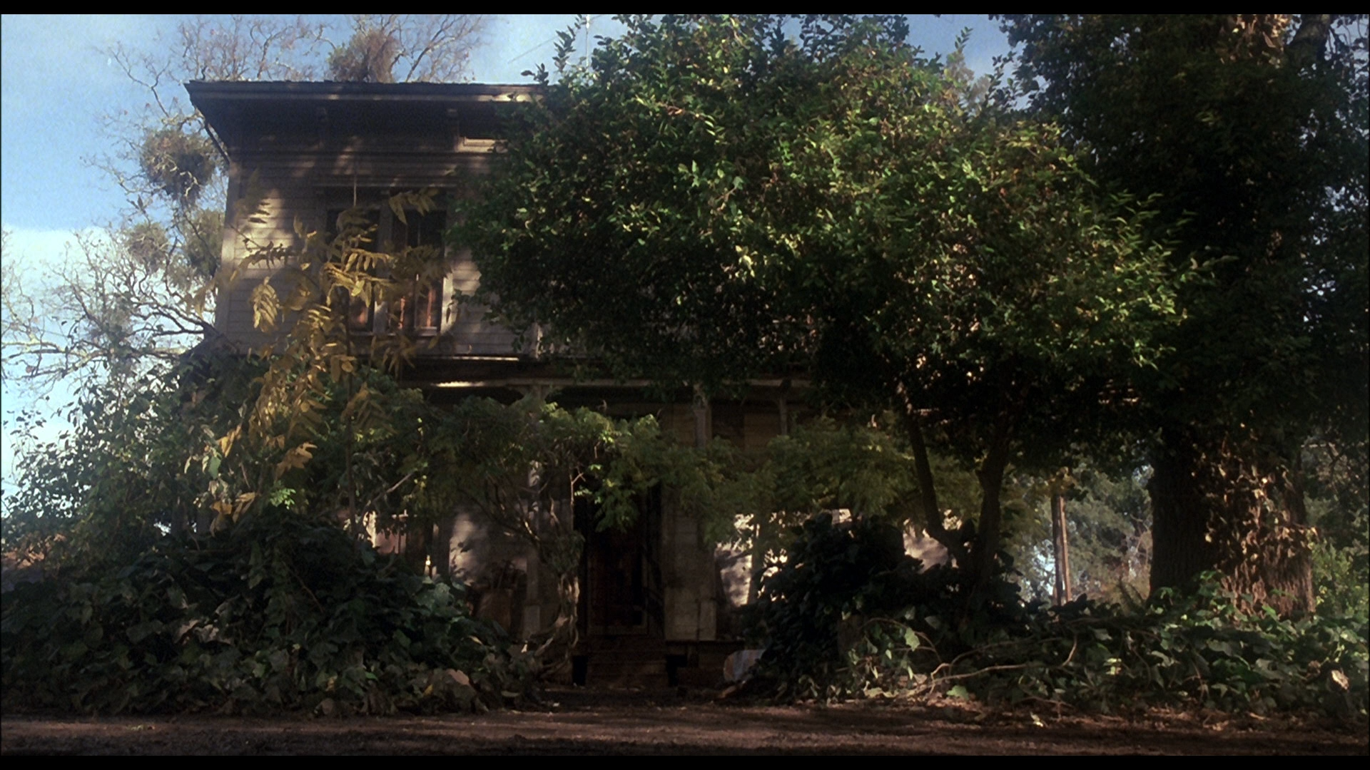 狂犬惊魂剧照的剧照