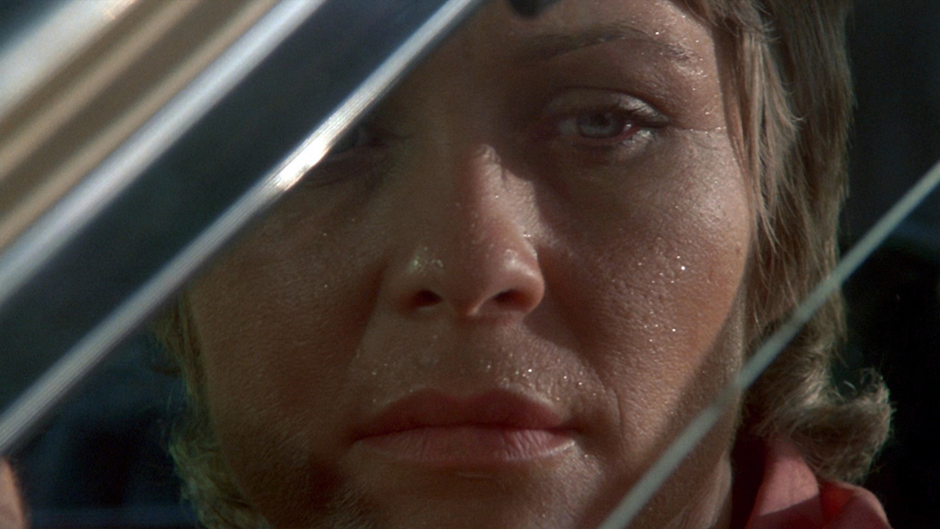 狂犬惊魂剧照的剧照