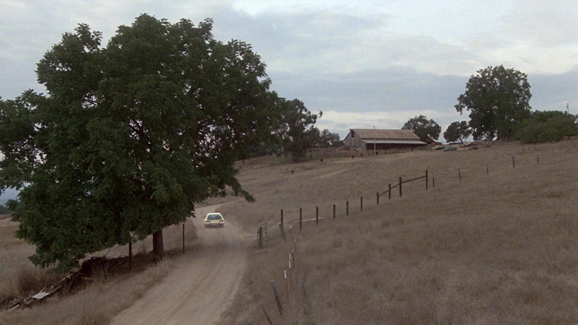 狂犬惊魂剧照的剧照