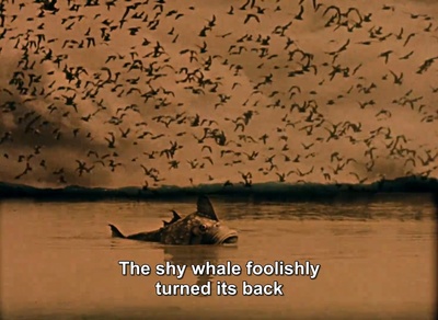 吹牛伯爵历险记剧照的剧照