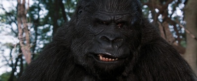 神探飞机头2剧照的剧照