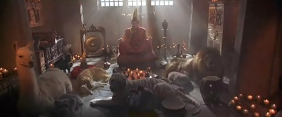 神探飞机头2剧照的剧照