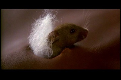 神探飞机头2剧照的剧照