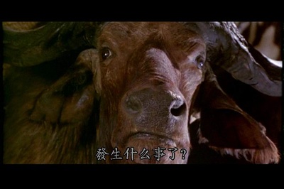 神探飞机头2剧照的剧照